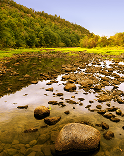 Oklahoma - Rocky Stream Bed